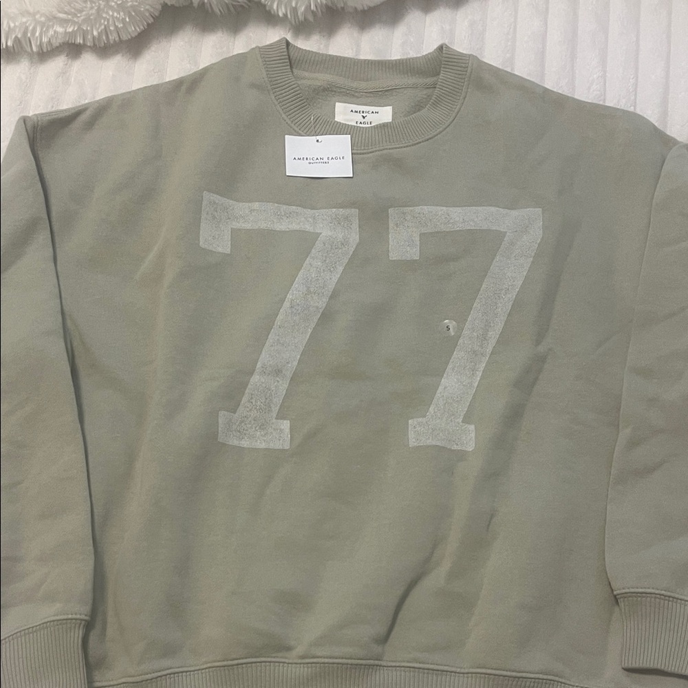 American Eagle Outfitters Sage Green Sweatshirt